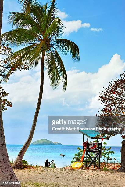 couple relaxing at magens bay st thomas, caribbean - magens bay fotografías e imágenes de stock
