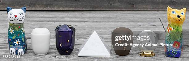 animal urns - decoratieve urn stockfoto's en -beelden