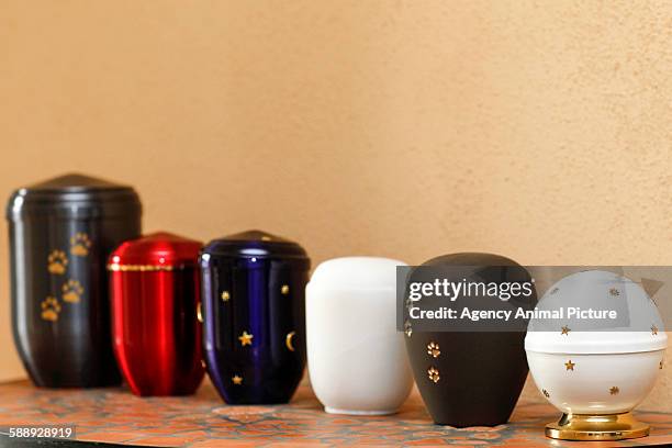 animal urns - grupo médio de objetos imagens e fotografias de stock