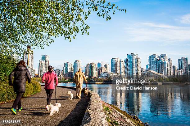 vancouver, british columbia, canada. people walking dogs on a waterside trail with downtown skyline in the distance. - vancouver canada stockfoto's en -beelden