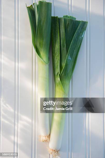 leeks on white - leek stock pictures, royalty-free photos & images