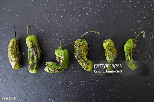 studio shot of grilled shishito peppers - scharfe schoten stock-fotos und bilder