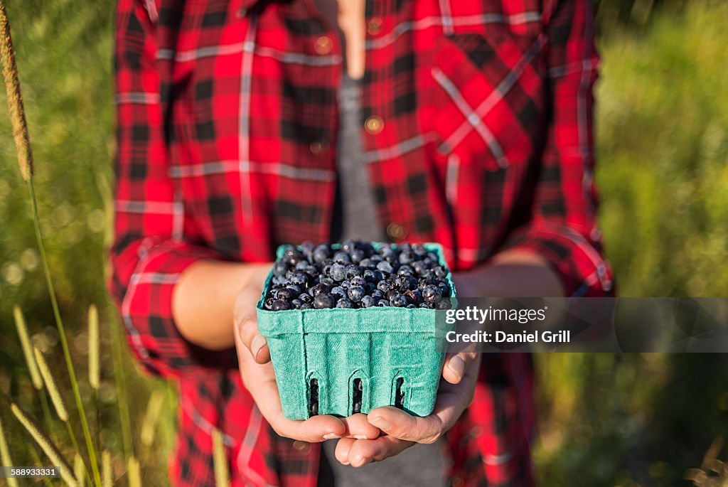 Mid section of woman holding punnet of blueberries