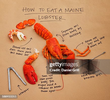 How to eat lobster instructions How to eat lobster instructions