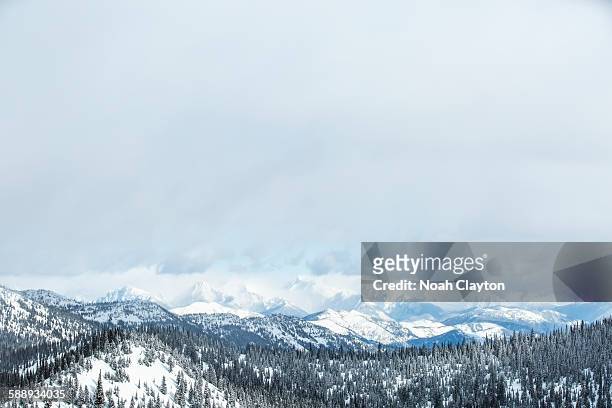 landscape with mountains and forest in winter - whitefish foto e immagini stock