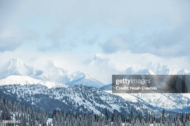 montana, glacier national park, landscape with mountains and forest in winter - montana winter stock pictures, royalty-free photos & images