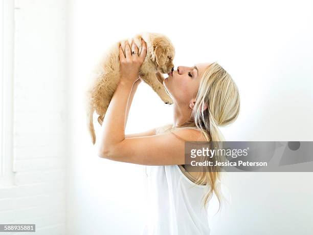 studio shot of owner kissing golden retriever puppy - woman holding dog studio stock-fotos und bilder