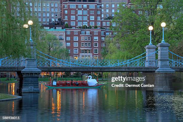 massachusetts, boston, boston public garden at dawn - boston garden stock pictures, royalty-free photos & images