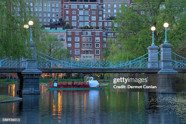 massachusetts, boston, boston public garden at dawn - boston public garden stock pictures, royalty-free photos & images