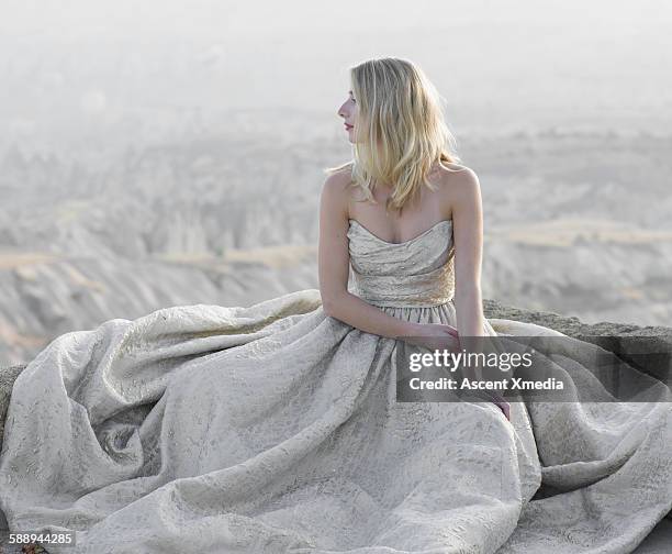 haute couture model poses above desert landscape - strapless avondjurk stockfoto's en -beelden