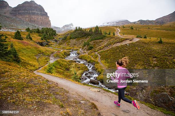 a woman trail running in the mountains. - laufen und gras und sport stock-fotos und bilder