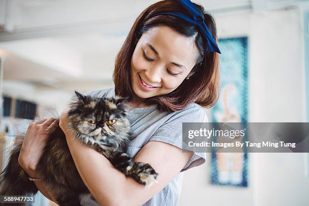 pretty young lady holding a fluffy cat joyfully - hair accessory fotografías e imágenes de stock