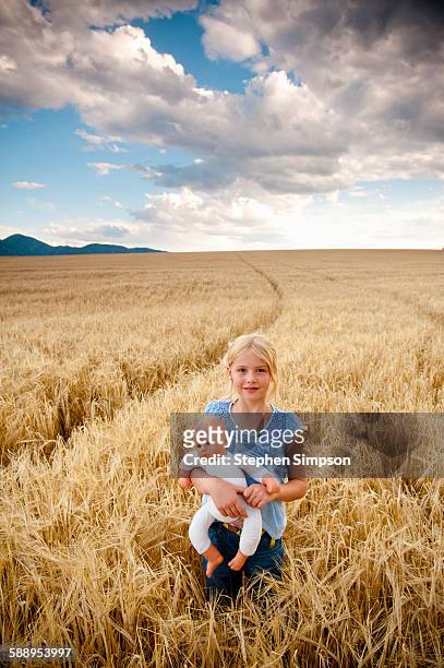 girl in wheat field with generic doll - american girl doll stock pictures, royalty-free photos & images