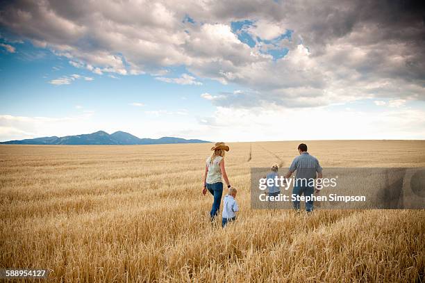 family walking through cut wheat field - western usa landscape stock pictures, royalty-free photos & images