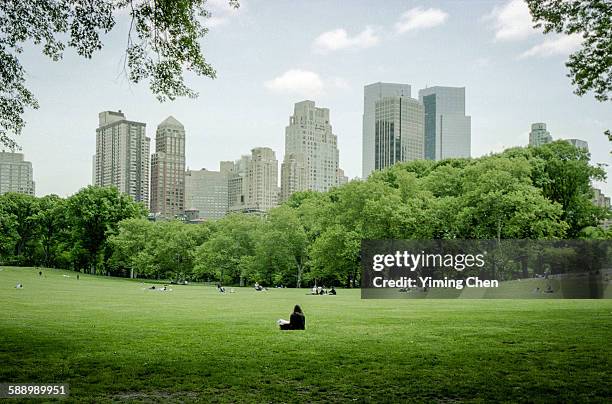 central park - central park stockfoto's en -beelden