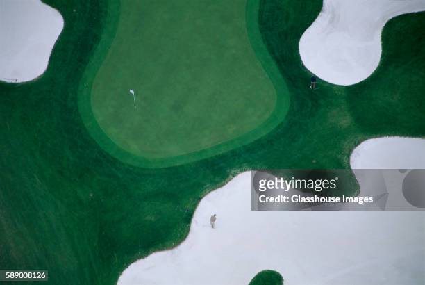 golf green - green de golf imagens e fotografias de stock