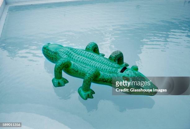 inflatable crocodile floating in pool - plastic pool stockfoto's en -beelden