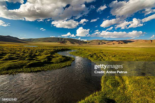 the river with green banks in iceland - gebirgsbach stock-fotos und bilder