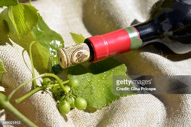 bottle of red wine and vine leaves, italy. - wine cork ストックフォトと画像