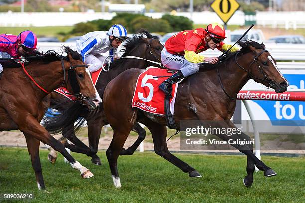 Mark Zahra riding Russian Revolution wins defeats Craig Williams riding Highland Beat and Damien Oliver riding Hardham in Race 5, Vain Stakes during...