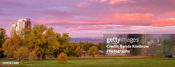 denver's city park and skyline at sunrise - colorado skyline stock pictures, royalty-free photos & images