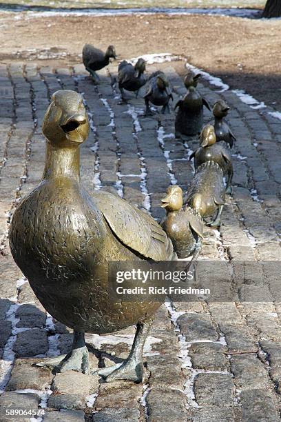 91 Make Way For Ducklings Statue Stock Photos, High-Res Pictures, and