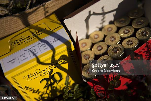 Packets of 12 and 20 bore shotgun cartridges, manufactured by by William Evans, sit on the ground during a walked up grouse shoot on Egton High Moor...