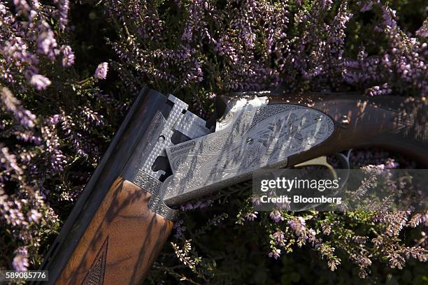 Engraving sits on the side plate of a Heritage 20 bore shotgun, manufactured by Browning Arms Co., during a walked up grouse shoot on Egton High Moor...