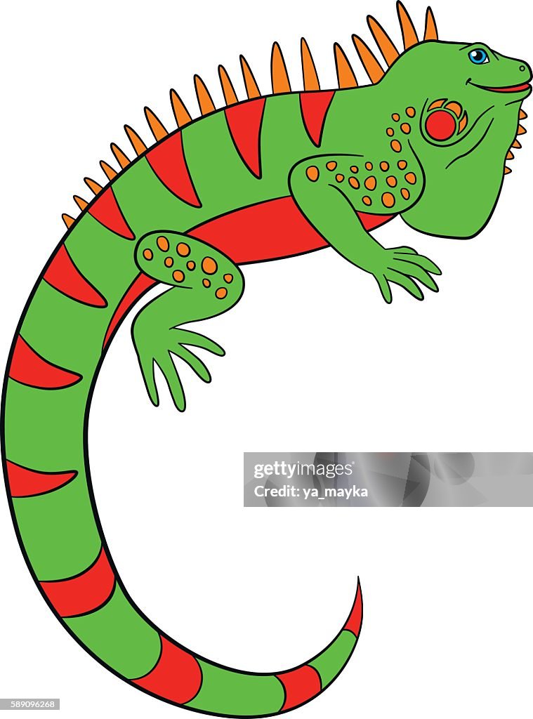 Cartoon Animals Cute Green Iguana Smiles High-Res Vector Graphic - Getty  Images