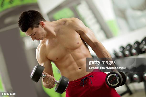 homme musclé torse nu faisant des exercices d’haltères à la salle de gym. - musculation des biceps photos et images de collection