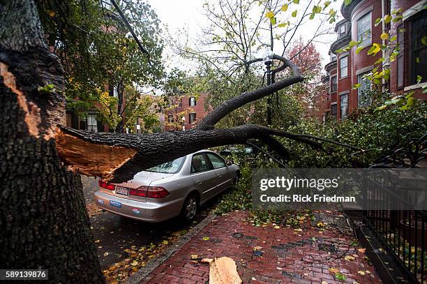 Car crushed by a tree that fell during Hurricane Sandy in the South End neighborhood of Boston, MA on October 29, 2012.