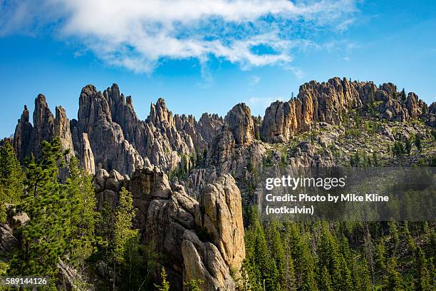 needles - black hills imagens e fotografias de stock