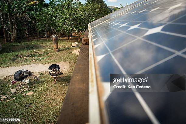 Chickens scurry about next to a solar panel on a farm just outside of Viñales, Cuba December 29, 2014. The United States announced last month that it...