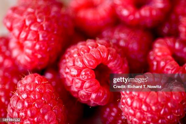 raspberries at campo de' fiori market - raspberry stockfoto's en -beelden