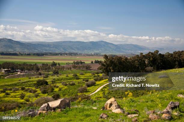 hula valley from golan heights in spring - golanhöhen stock-fotos und bilder