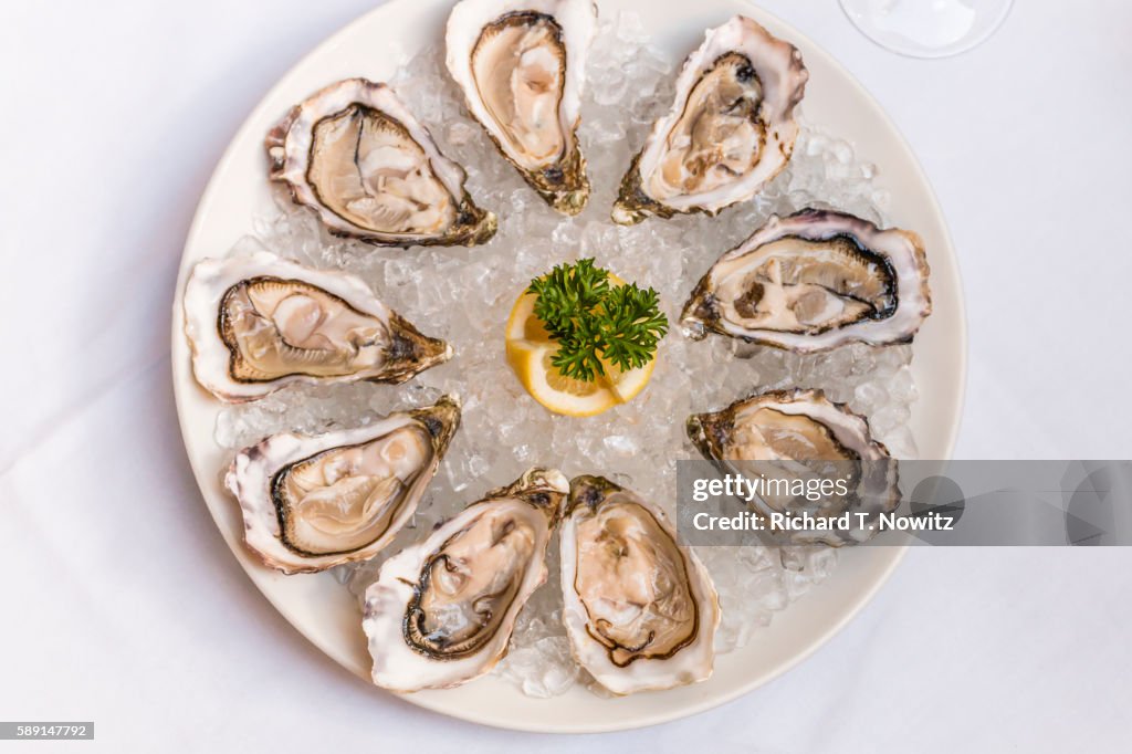 Raw Oyster Platter