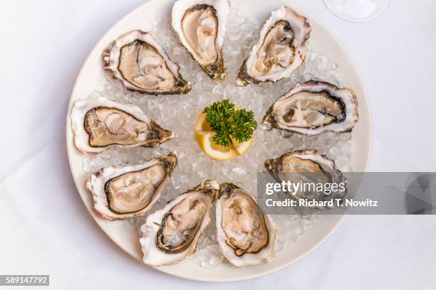 raw oyster platter - ostron bildbanksfoton och bilder