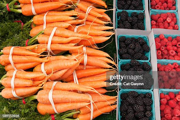 Carrot Raspberry 117 Cat Carrot Stock Photos, High-Res Pictures, and Images - Getty Images