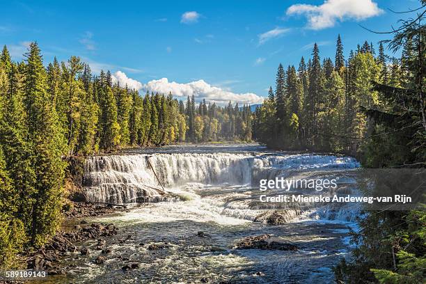 view on dawson falls or little niagara, canada - mieneke andeweg stock pictures, royalty-free photos & images