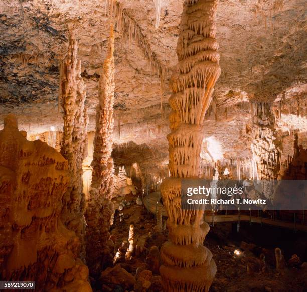 sorek caves - stalagmite stock pictures, royalty-free photos & images