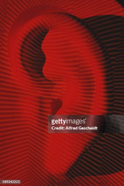 Human ear with a computerised grid superimposed over it, 1990.