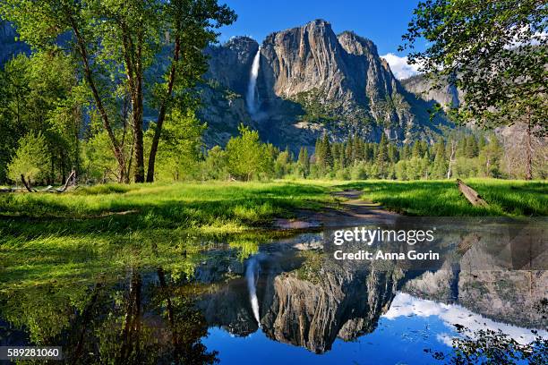 yosemite falls reflected perfectly in outlet of merced river by swinging bridge, yosemite national park, california - yosemite stockfoto's en -beelden