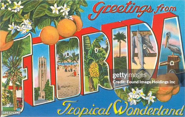 Vintage large letter illustrated postcard images of cocoanut palms, beach scenes, banana plants, deep-sea fishing, a pelican, and orange trees...