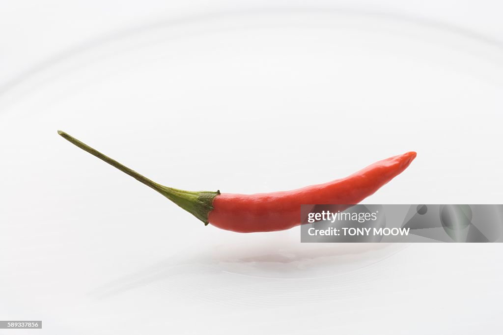 Chili pepper