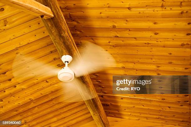 Fan Roatating Rotating Ceiling Fans Photos and Premium High Res Pictures - Getty Images