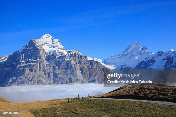 schreckhorn and wetterhorn - schreckhorn stock-fotos und bilder