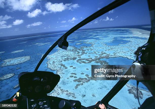 hardy reef - hardy reef stockfoto's en -beelden