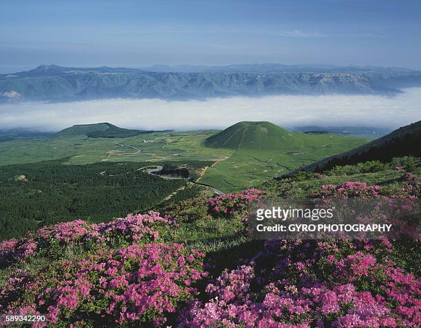 flowering landscape and komezuka volcano, aso, kumamoto prefecture, japan - kumamoto - fotografias e filmes do acervo