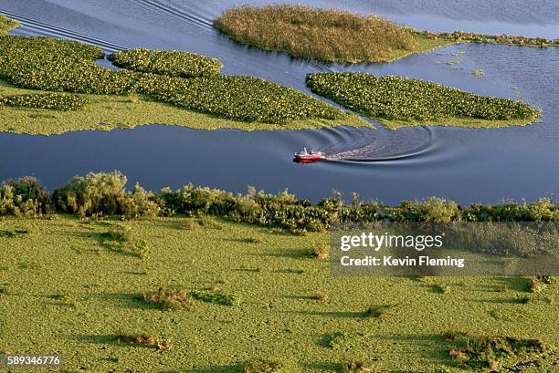 overview of boat and vegetation on lake - lake okeechobee stock pictures, royalty-free photos & images