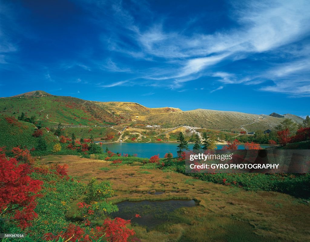 Pond and Autumn Leaves, Gunma Prefecture, Japan